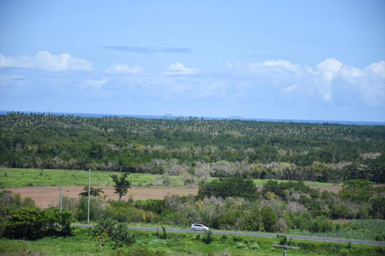 Best View Apartments Nadi Exterior foto